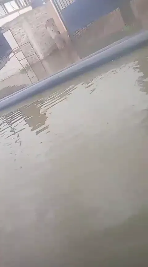 VID-20250831-WA0006
